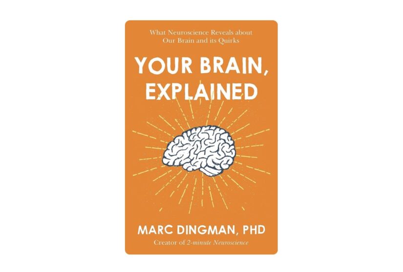 The Brain Explained book